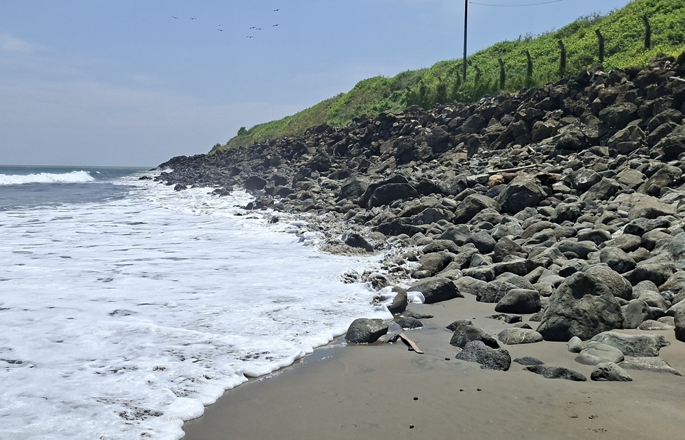 2026-03-30 Esmeraldas 20260330_110248_ji.jpg